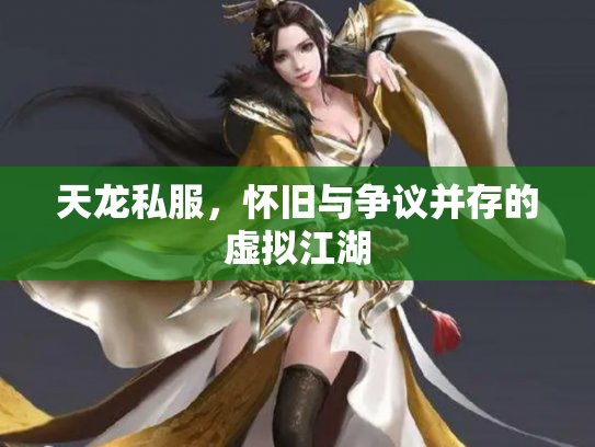 天龙私服，怀旧与争议并存的虚拟江湖