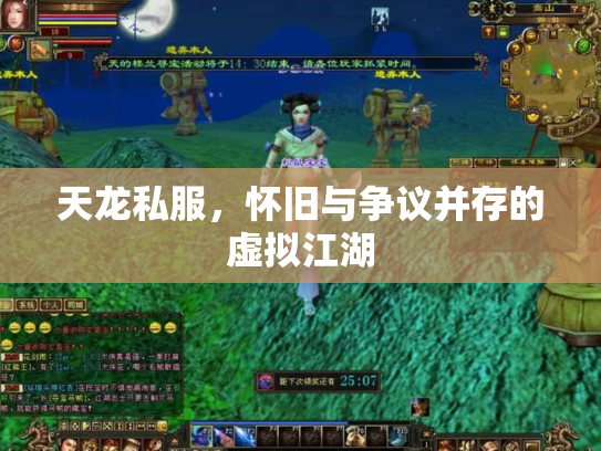 天龙私服，怀旧与争议并存的虚拟江湖