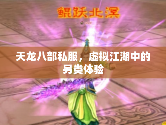 天龙八部私服，虚拟江湖中的另类体验