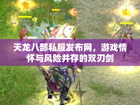 天龙八部私服发布网，游戏情怀与风险并存的双刃剑