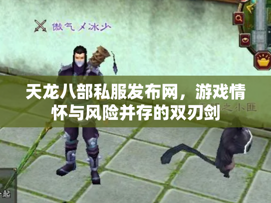 天龙八部私服发布网，游戏情怀与风险并存的双刃剑