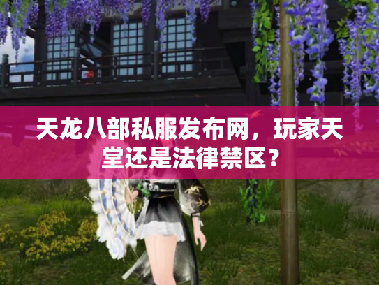 天龙八部私服发布网，玩家天堂还是法律禁区？