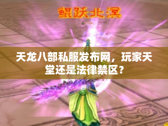 天龙八部私服发布网，玩家天堂还是法律禁区？