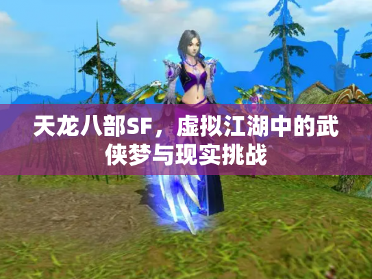 天龙八部SF，虚拟江湖中的武侠梦与现实挑战