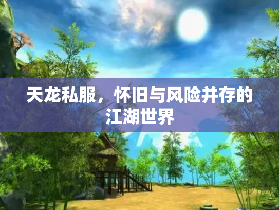 天龙私服，怀旧与风险并存的江湖世界