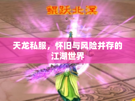 天龙私服，怀旧与风险并存的江湖世界