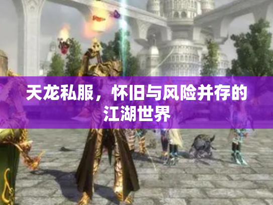 天龙私服，怀旧与风险并存的江湖世界