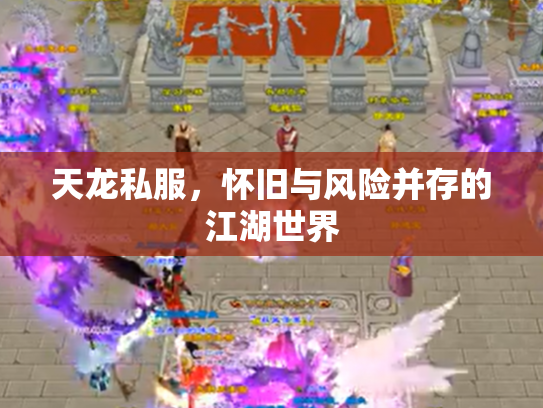 天龙私服，怀旧与风险并存的江湖世界