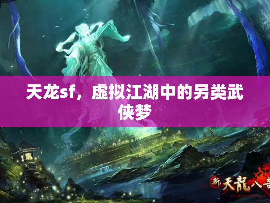 天龙sf，虚拟江湖中的另类武侠梦