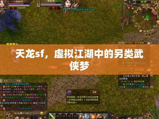 天龙sf，虚拟江湖中的另类武侠梦