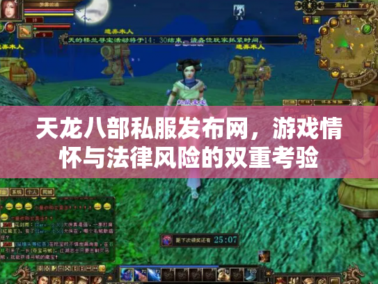 天龙八部私服发布网，游戏情怀与法律风险的双重考验