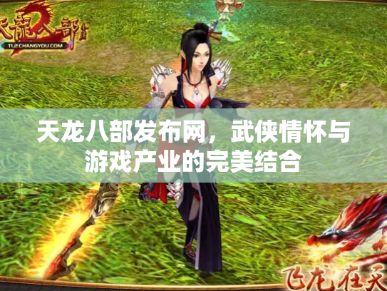 天龙八部发布网，武侠情怀与游戏产业的完美结合