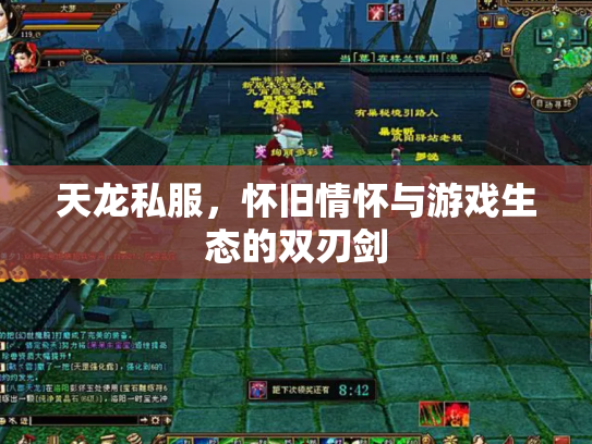 天龙私服，怀旧情怀与游戏生态的双刃剑