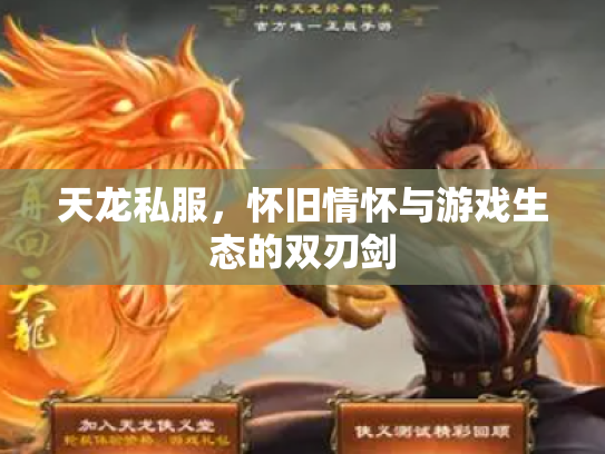 天龙私服，怀旧情怀与游戏生态的双刃剑