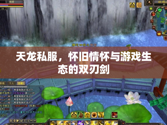 天龙私服，怀旧情怀与游戏生态的双刃剑