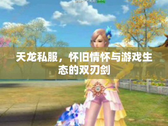 天龙私服，怀旧情怀与游戏生态的双刃剑