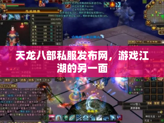 天龙八部私服发布网，游戏江湖的另一面