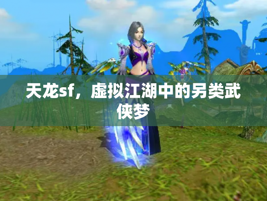 天龙sf，虚拟江湖中的另类武侠梦