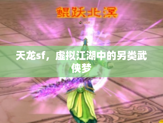 天龙sf，虚拟江湖中的另类武侠梦