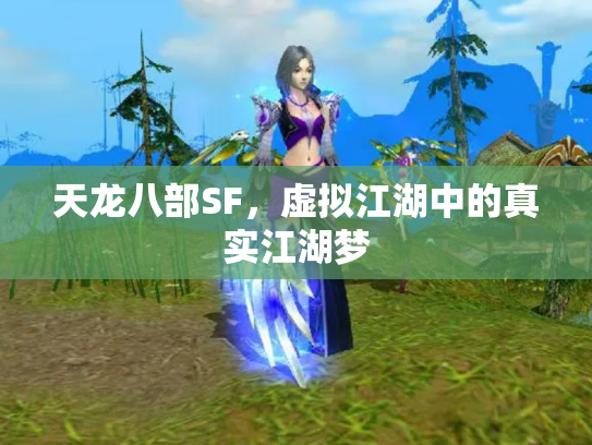 天龙八部SF，虚拟江湖中的真实江湖梦