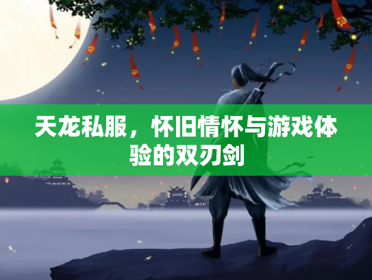 天龙私服，怀旧情怀与游戏体验的双刃剑