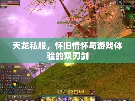 天龙私服，怀旧情怀与游戏体验的双刃剑