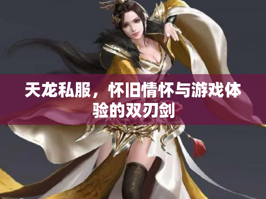 天龙私服，怀旧情怀与游戏体验的双刃剑