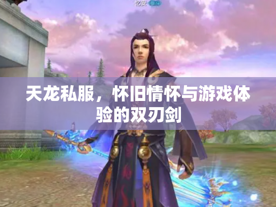 天龙私服，怀旧情怀与游戏体验的双刃剑