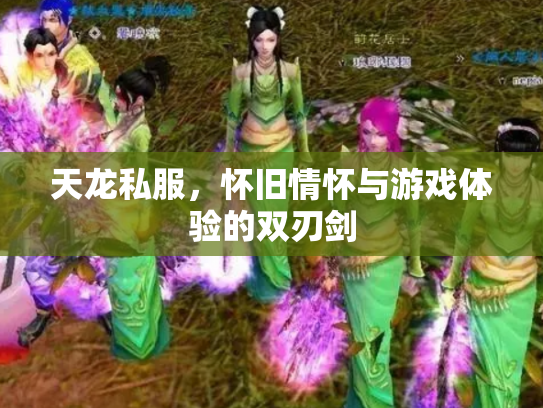 天龙私服，怀旧情怀与游戏体验的双刃剑