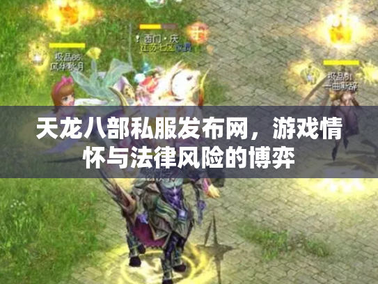 天龙八部私服发布网，游戏情怀与法律风险的博弈