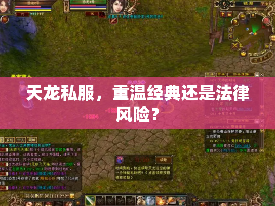 天龙私服，重温经典还是法律风险？