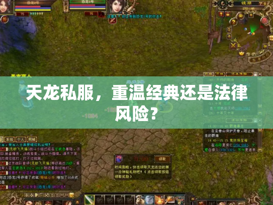 天龙私服，重温经典还是法律风险？