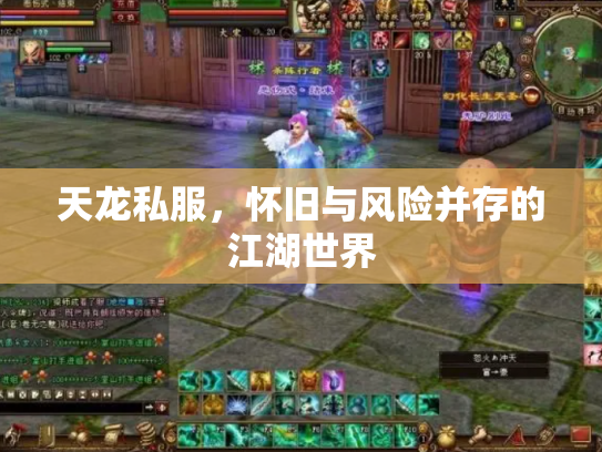 天龙私服，怀旧与风险并存的江湖世界
