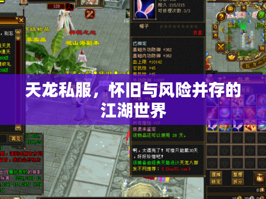 天龙私服，怀旧与风险并存的江湖世界