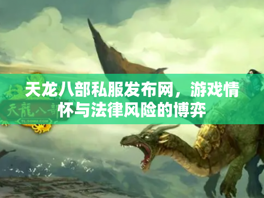 天龙八部私服发布网，游戏情怀与法律风险的博弈