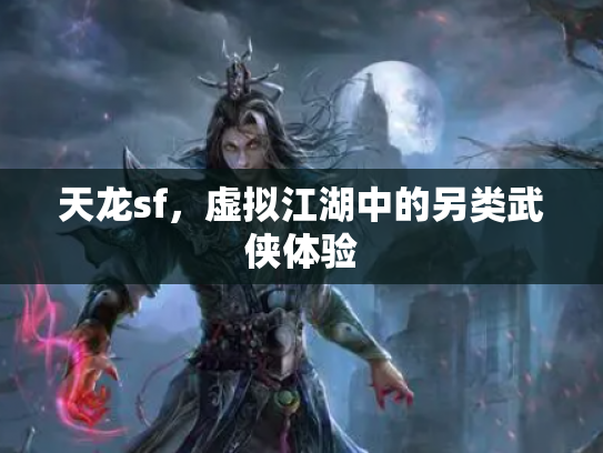 天龙sf，虚拟江湖中的另类武侠体验