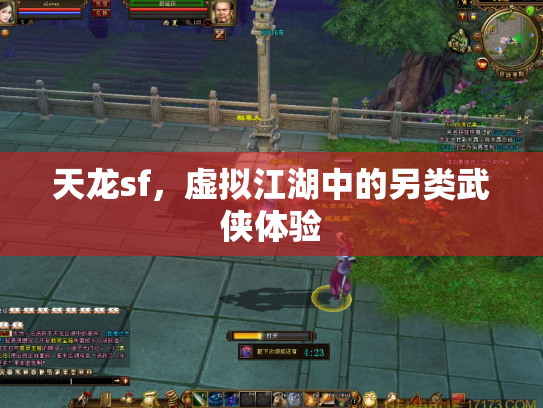 天龙sf，虚拟江湖中的另类武侠体验