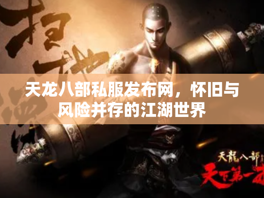 天龙八部私服发布网，怀旧与风险并存的江湖世界