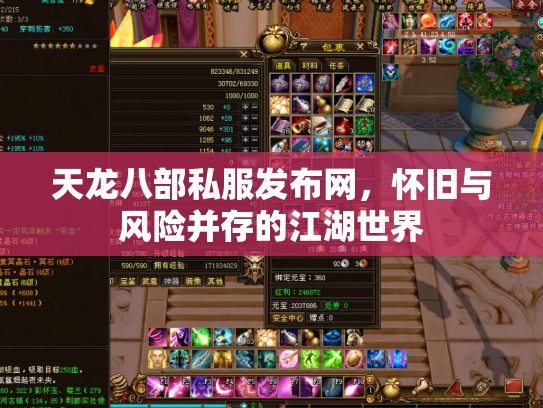 天龙八部私服发布网，怀旧与风险并存的江湖世界