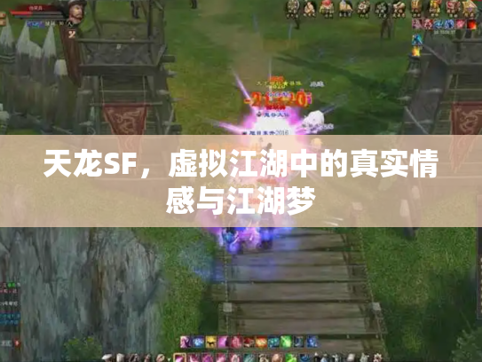 天龙SF，虚拟江湖中的真实情感与江湖梦