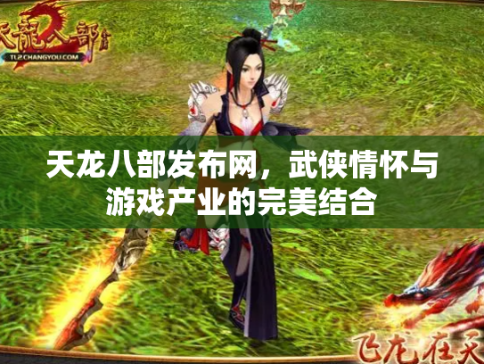 天龙八部发布网，武侠情怀与游戏产业的完美结合
