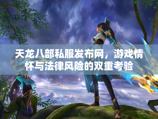 天龙八部私服发布网，游戏情怀与法律风险的双重考验