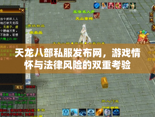 天龙八部私服发布网，游戏情怀与法律风险的双重考验