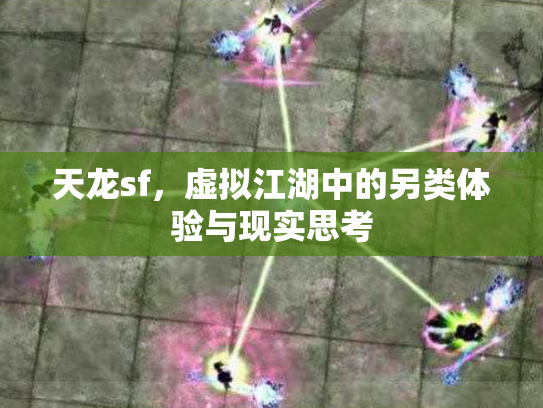 天龙sf，虚拟江湖中的另类体验与现实思考