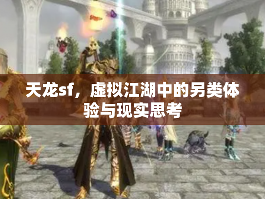 天龙sf，虚拟江湖中的另类体验与现实思考