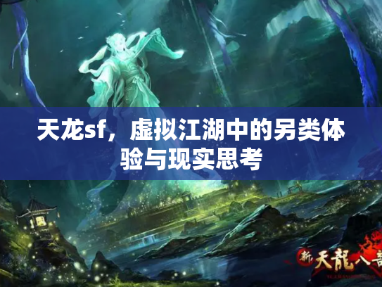天龙sf，虚拟江湖中的另类体验与现实思考
