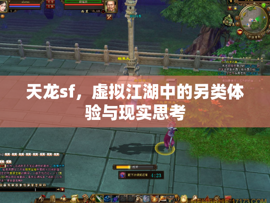 天龙sf，虚拟江湖中的另类体验与现实思考