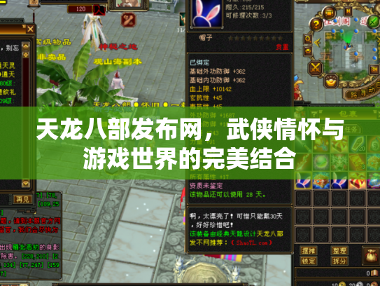 天龙八部发布网，武侠情怀与游戏世界的完美结合