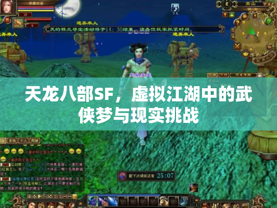 天龙八部SF，虚拟江湖中的武侠梦与现实挑战