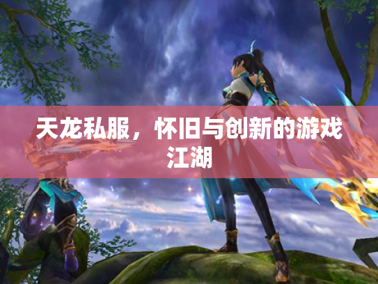 天龙私服，怀旧与创新的游戏江湖